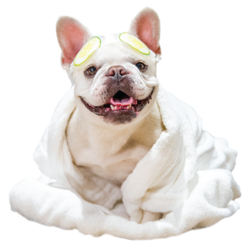 Mallow
